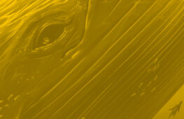 اپیزود 15 - پادکست انسانک