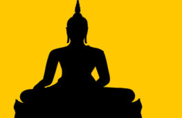 اپیزود هفدهم پادکست انسانک