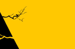 مرگ و زندگی