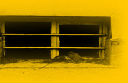 اپیزود سی و ششم انسانک